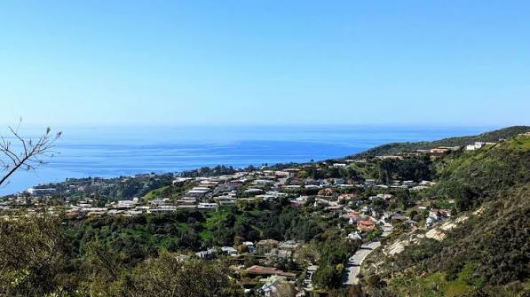 Map of Pacific Palisades with Brentwood, Santa Monica, Malibu, and Venice labeled to show agent coverage areas