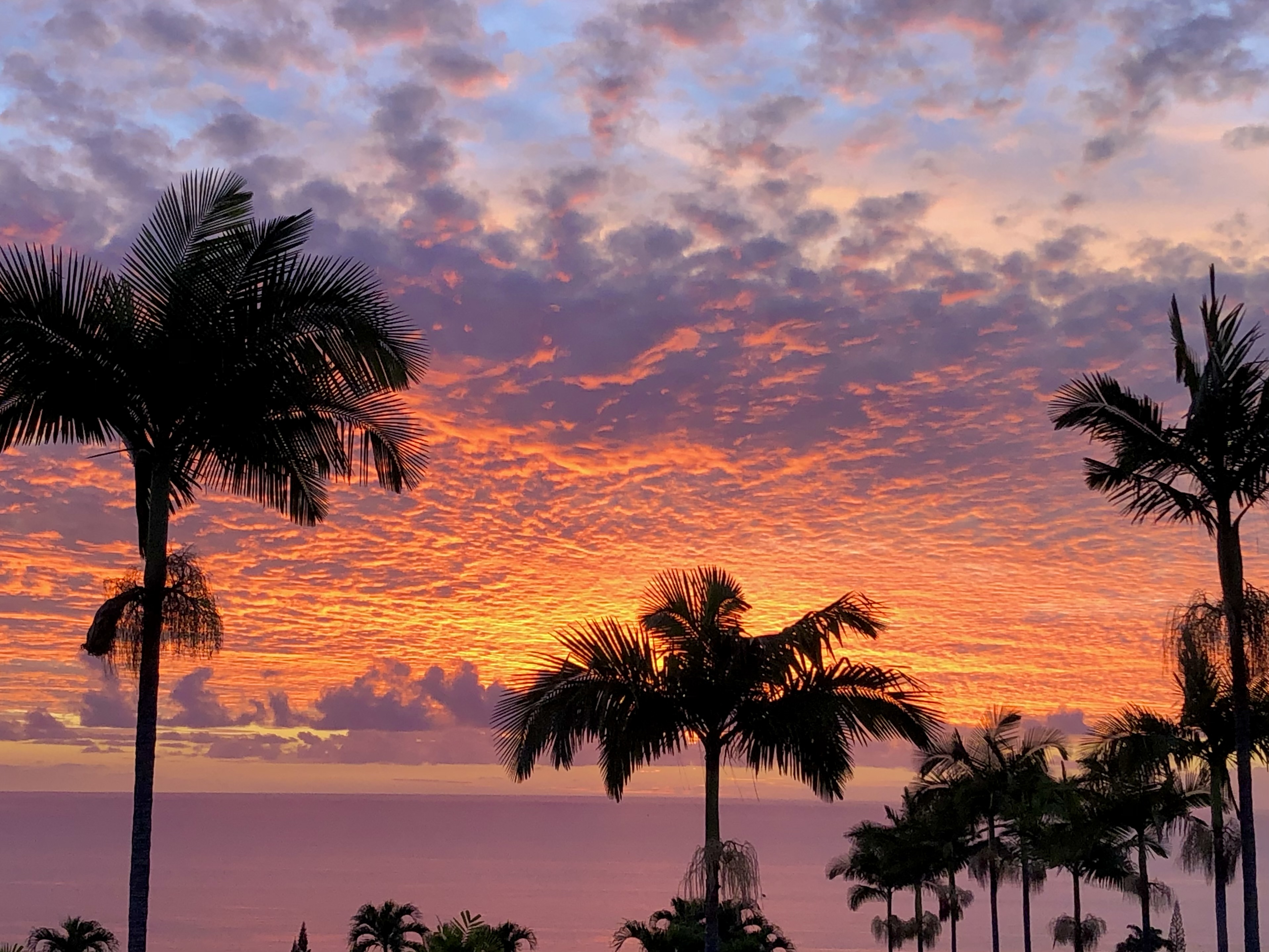 Super El Niño 2026-27 in Hawaii: What This Winter Could Bring