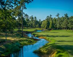 Carlton Woods The Woodlands - Luxury Community Guide