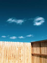 Paint or Stain Fence San Diego